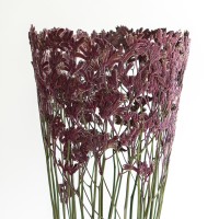 <a href="https://www.galeriegosserez.com/artistes/clegg-shannon.html">Shannon Clegg</a> - « Flora » - Large Ruby Sculpture